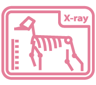 Ícone de Raio-X | Clínica Veterinária Vida de Bicho